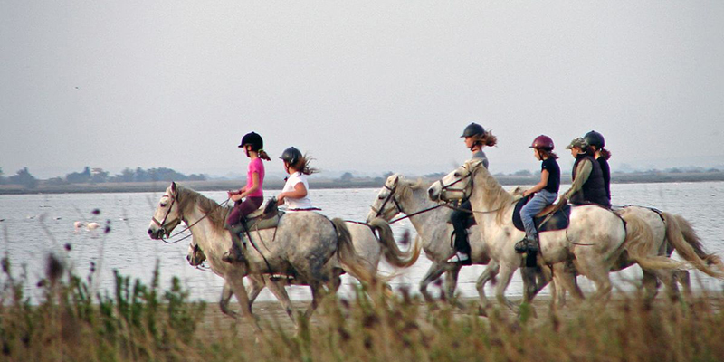 卢瓦尔河河畔骑马