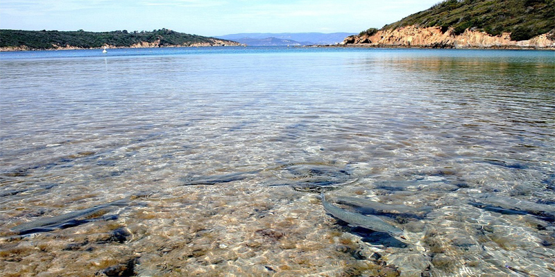 Ile de Port Cros 海滩