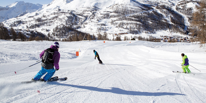 雪橇滑雪 Ski