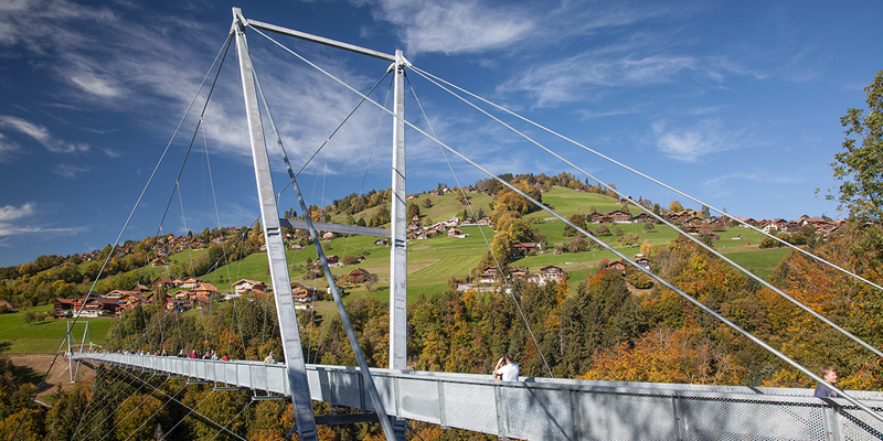 Panoramabrücke吊桥