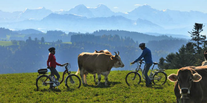 Emmental 奶酪之路 Cheese route