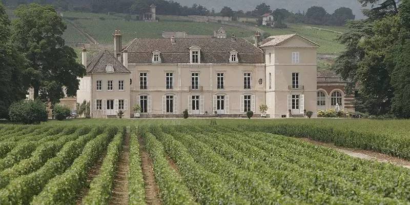 Château de Meursault 酒庄