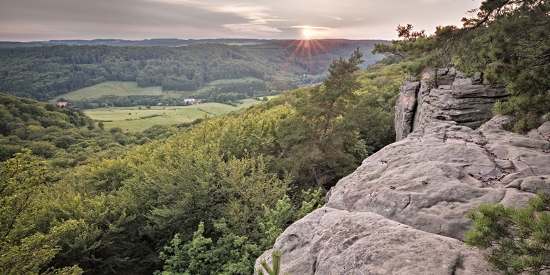 Mullerthal Trail