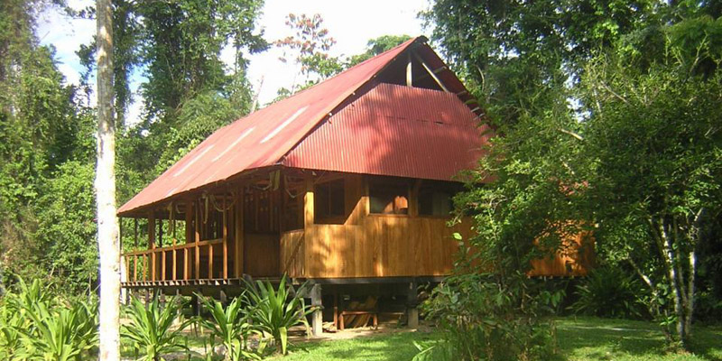 雨林小木屋