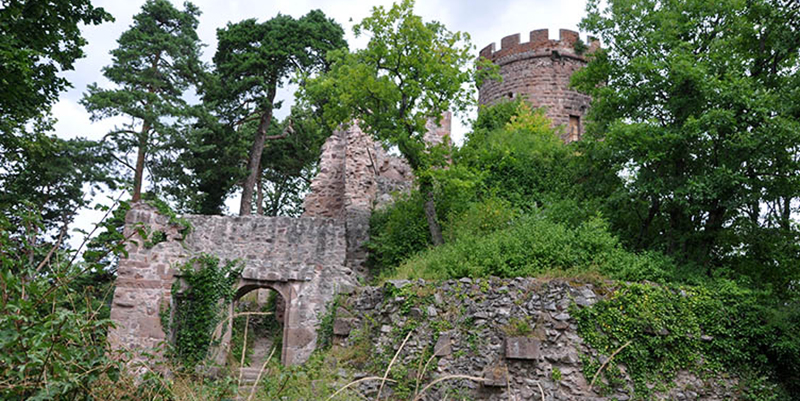 D3-Château du Haut-Ribeaupierre