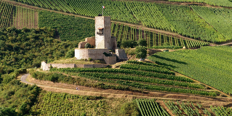 D1-Château du Wineck