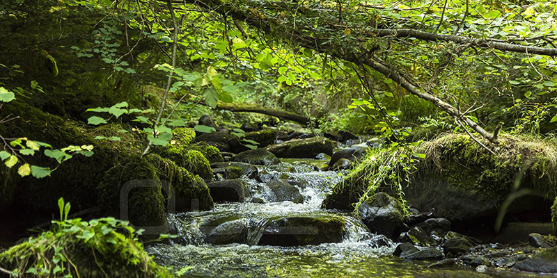 Les gorges de la Monne