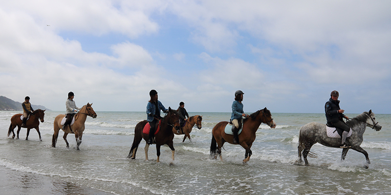 海滩骑马
