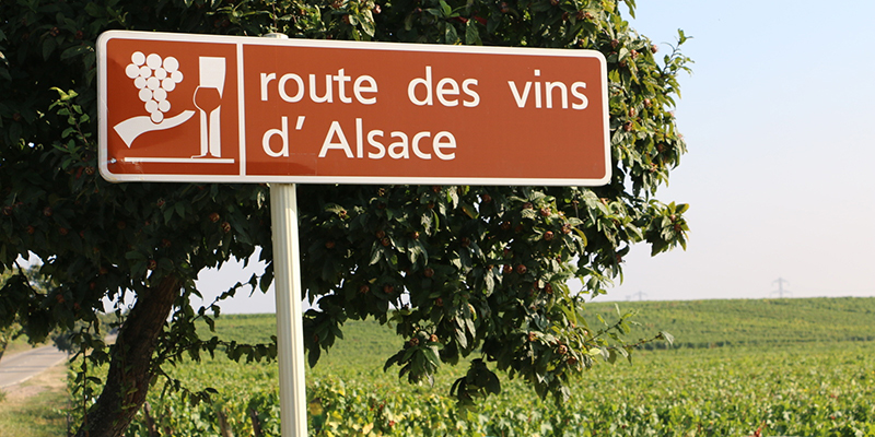 D2-route des vins