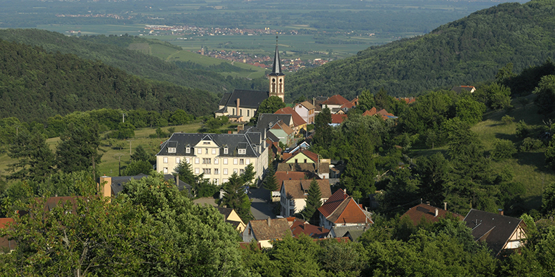 D3-Thannenkirch